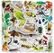 60PCS Insect Stickers Set – Waterproof PET Bug & Nature Animal Decorative Stickers for Scrapbooking, Science Projects, Journals & DIY Crafts